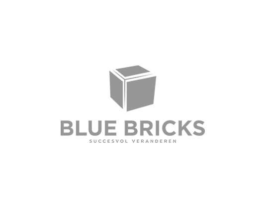 Blue Bricks